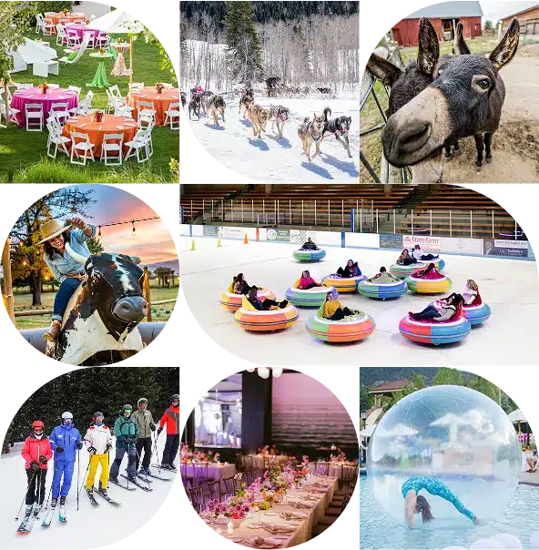 Collage of images from curated destination activities