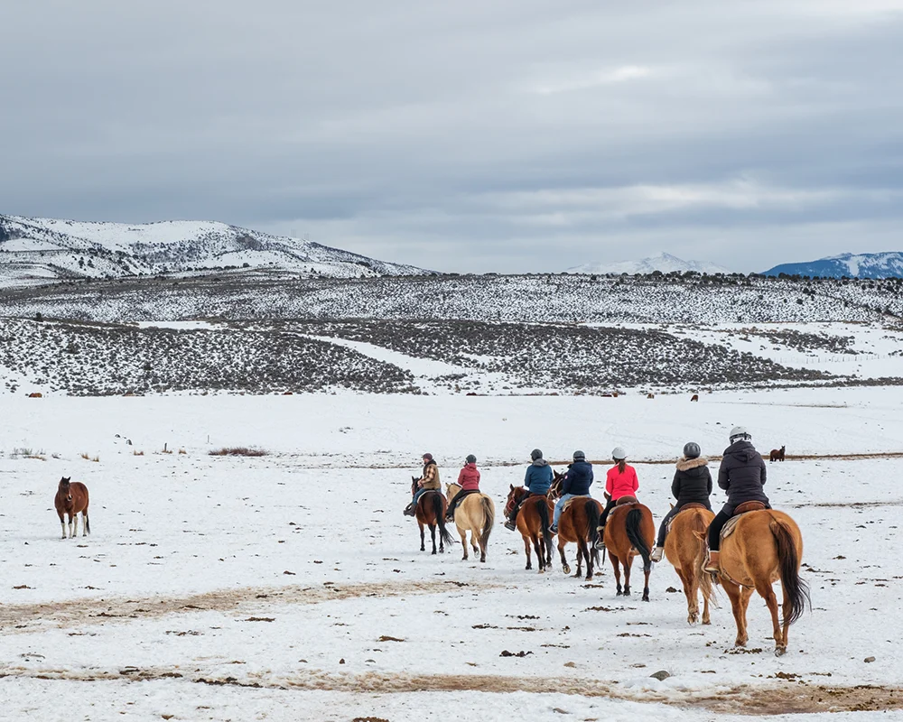 Group retreat riding horses