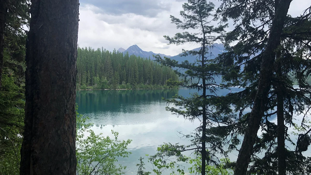 Crested BUtte (3)-wide Mountain trees with a lake in the background, Crested Butte, CO