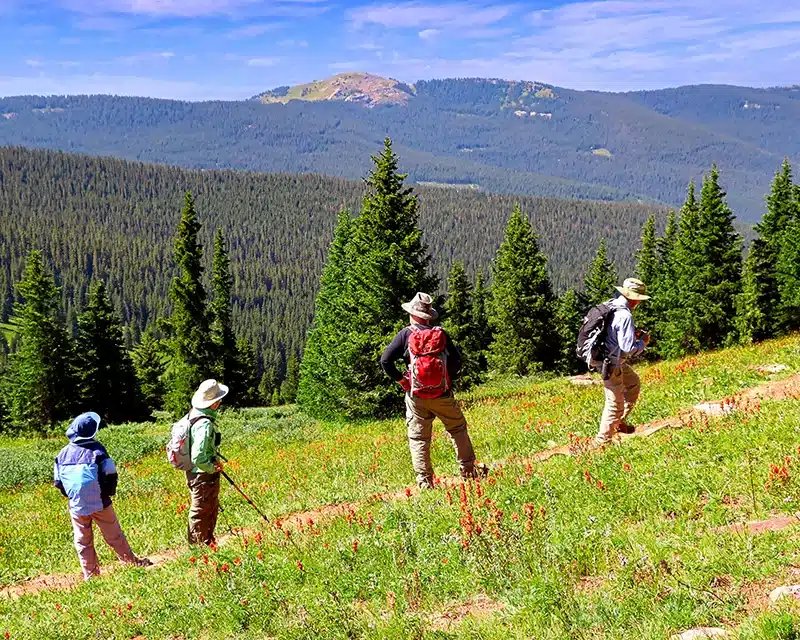 vail_488635026 Summer hiking in Vail Colorado