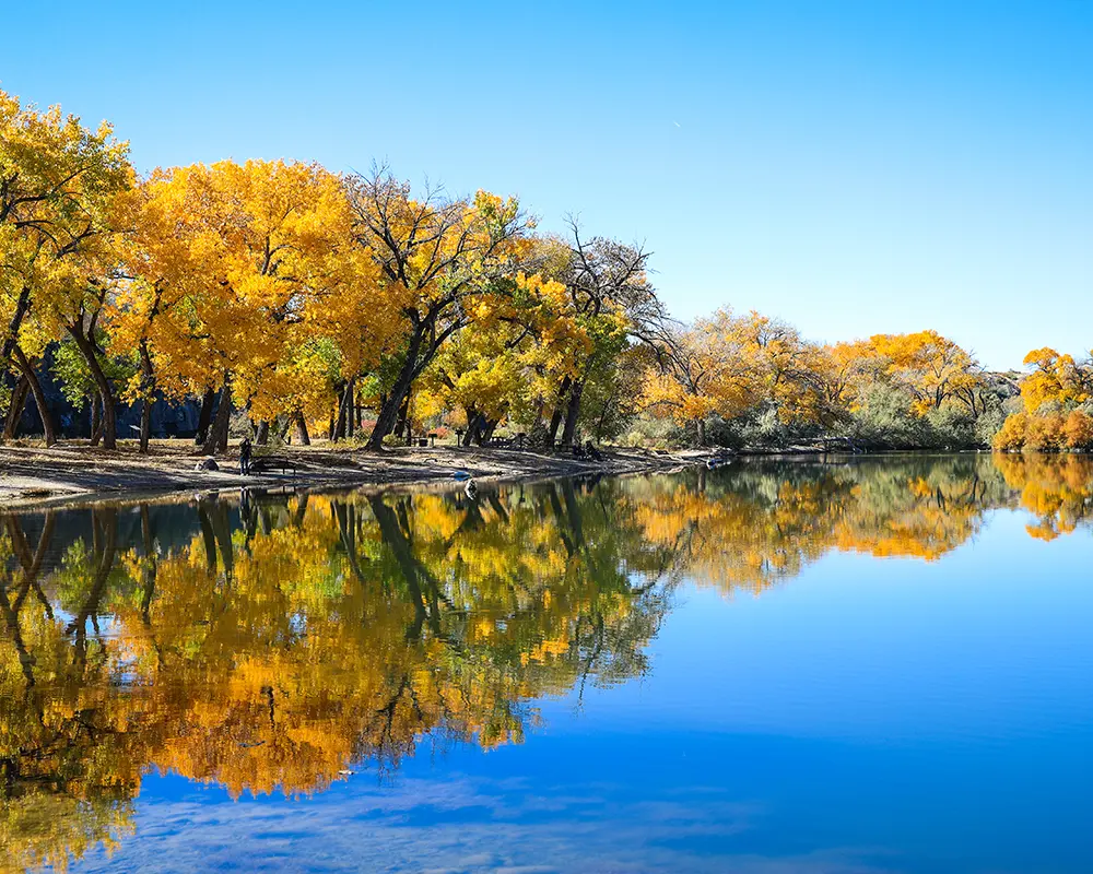 Colorado National Monument lake and fall trees