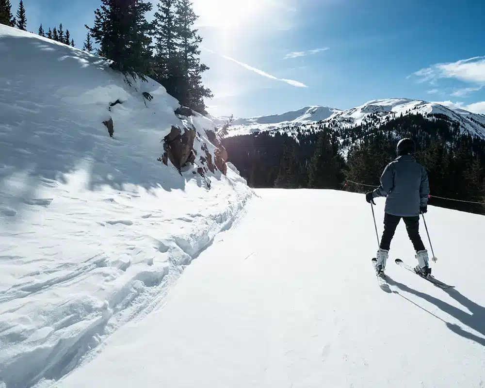 skiing_228509866