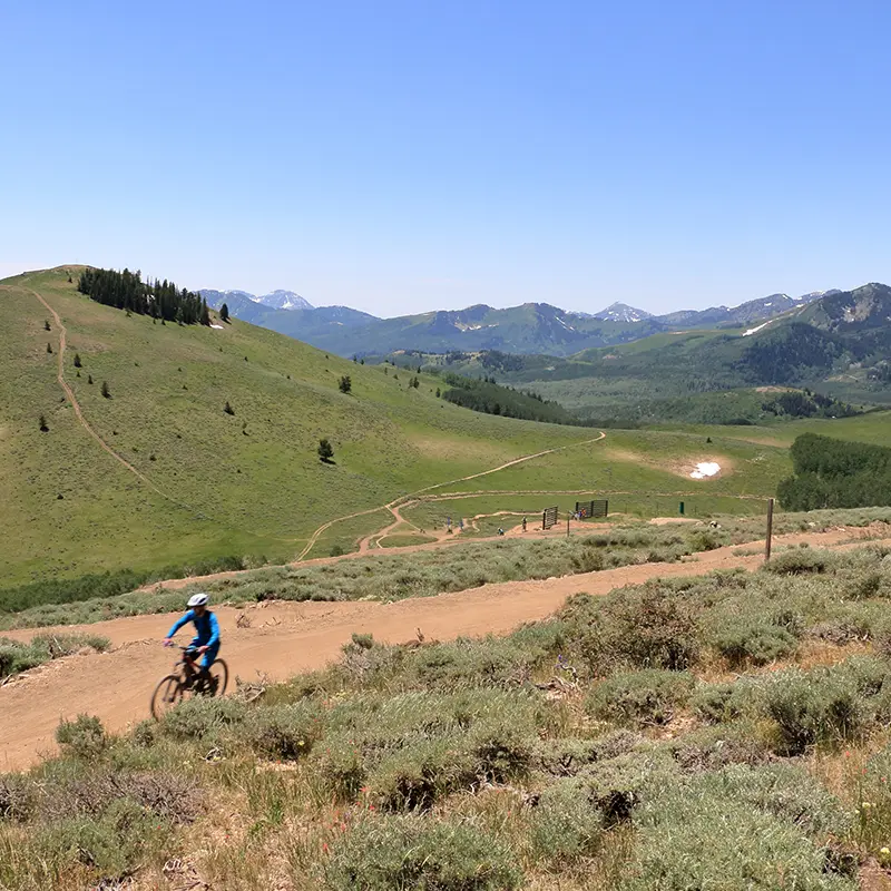 deer_valley_320206829 Mountain Biking in Deer Valley, Utah